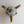 Chrome Alloy Bullet Wheel Spinner Knock-Off Set - Tall Base Early AR