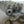 Chrome Mag Wheel Nut 1/2