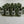 Chrome Open-End Wheel Nut 12 mm x 1.25 Thread x 25mm Height