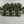 Chrome Open-End Wheel Nut 14mm x 1.5 Thread x 25mm Height